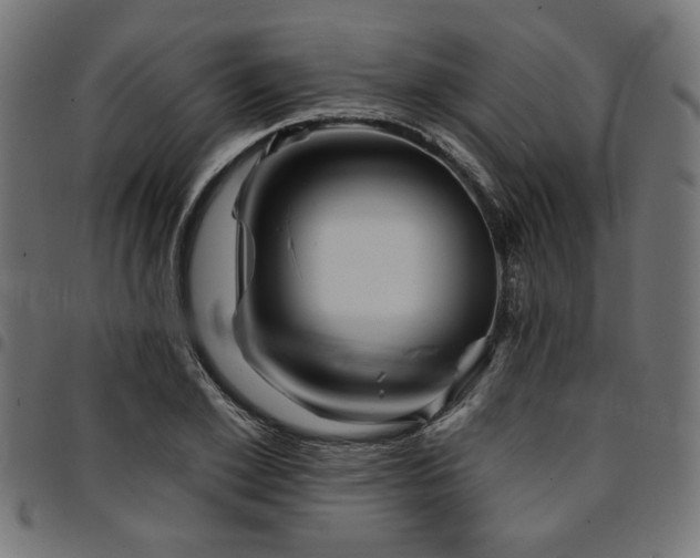 X0000095530981200712141458