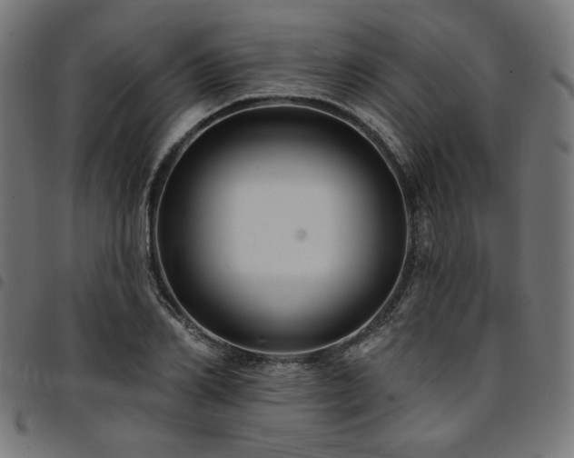 X0000095530982200712141458