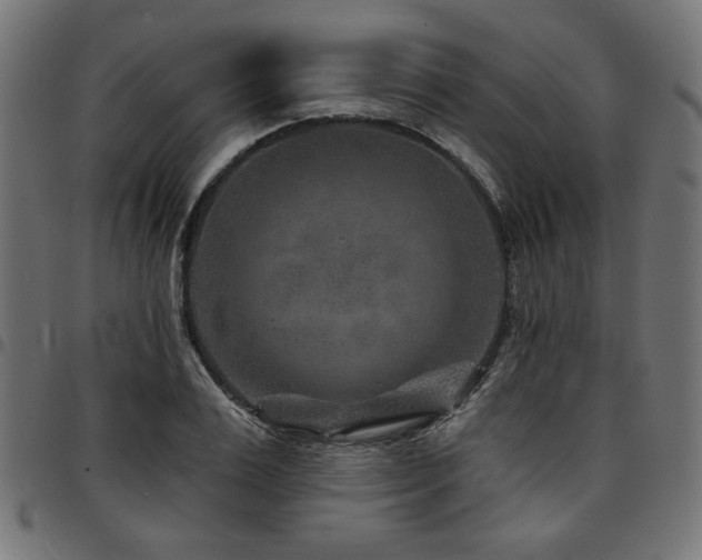 X0000095530983200712141458