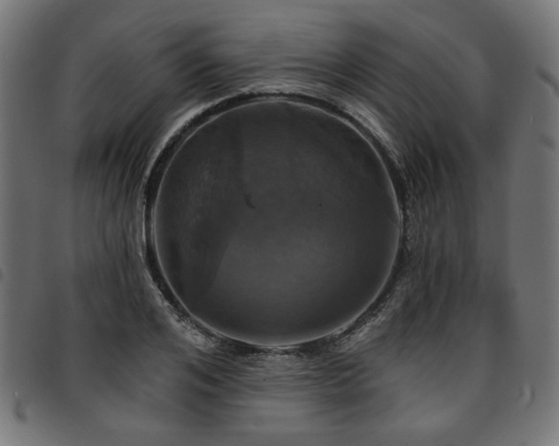 X0000095530984200712141458