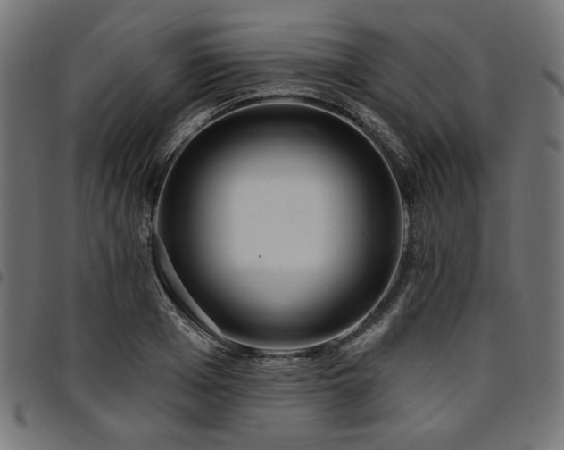 X0000095530985200712141458
