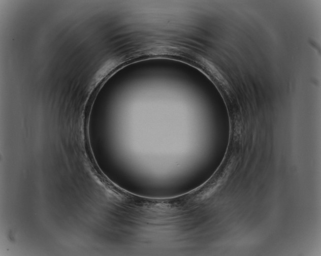 X0000095530986200712141458