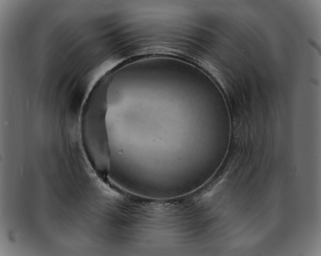 X0000095530987200712141458