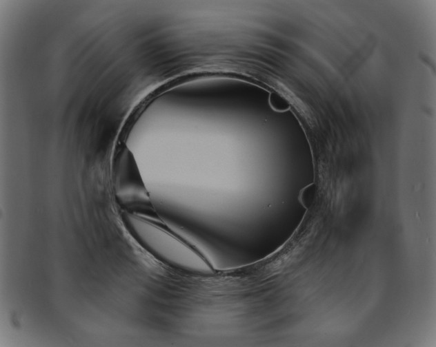 X0000095530988200712141458