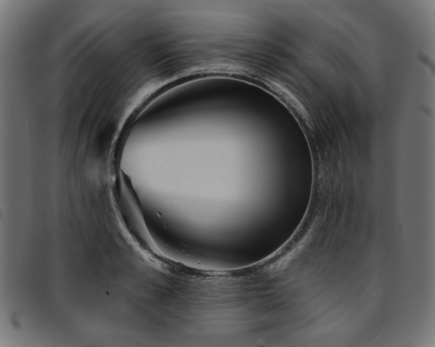 X0000095530989200712141458