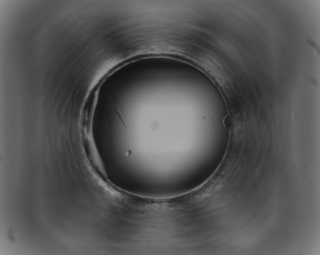 X0000095530990200712141458