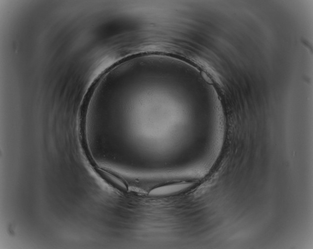 X0000095530991200712141458