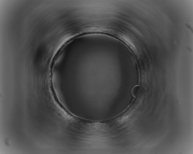 X0000095530992200712141458