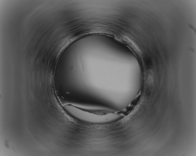 X0000095530993200712141458