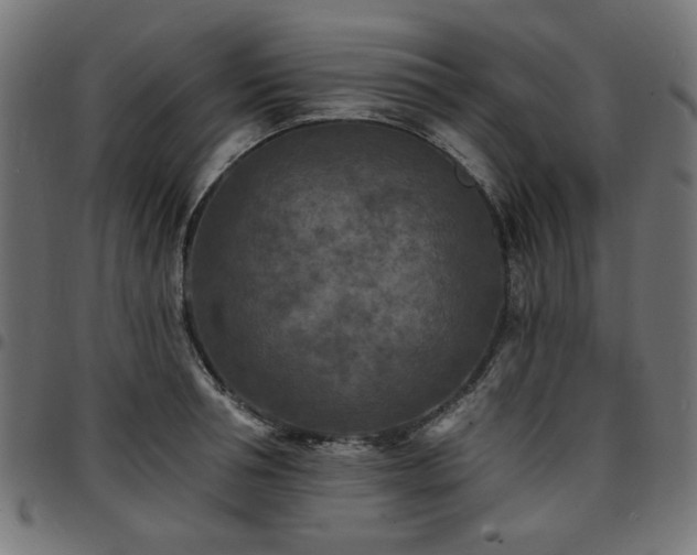 X0000095530994200712141458
