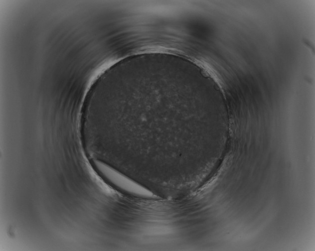 X0000095530995200712141458
