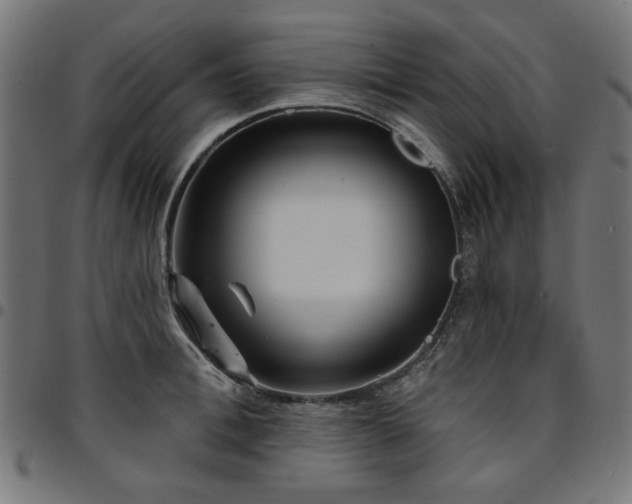 X0000095530996200712141458