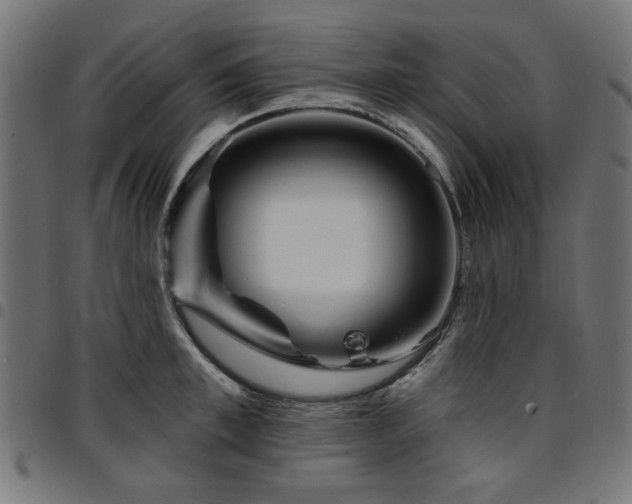 X0000095530997200712141458