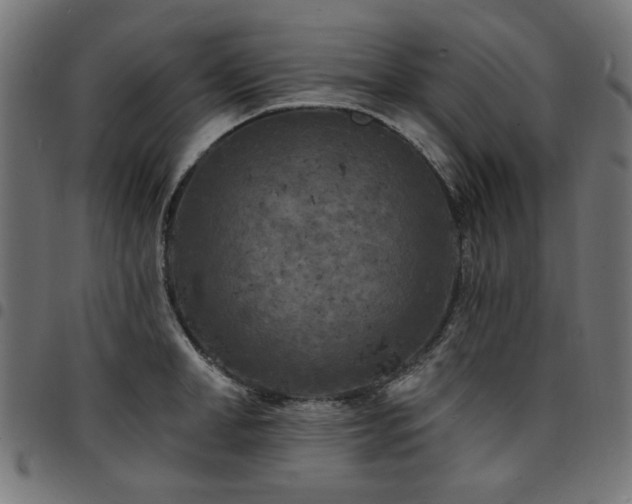 X0000095530998200712141458