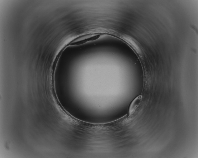 X0000095531000200712141458