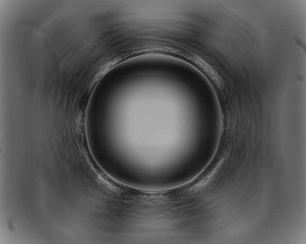 X0000095531001200712141458