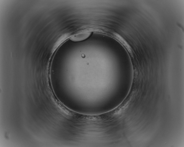 X0000095531002200712141458