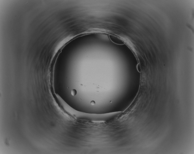 X0000095531003200712141458