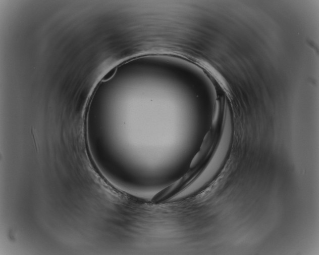X0000095531004200712141458