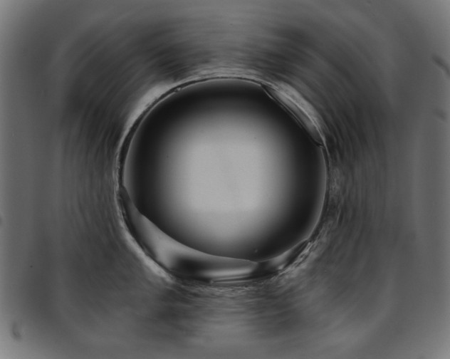 X0000095531005200712141458