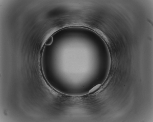 X0000095531006200712141458