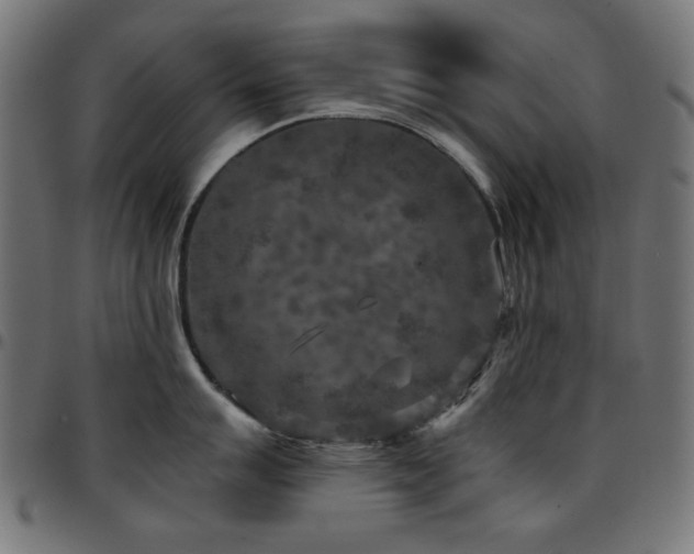 X0000095531007200712141458