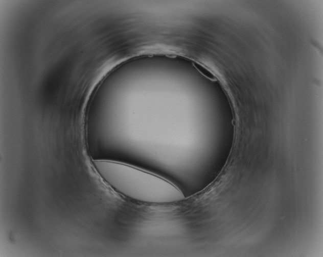 X0000095531008200712141458