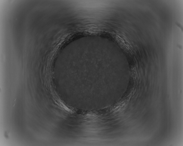 X0000095531009200712141457