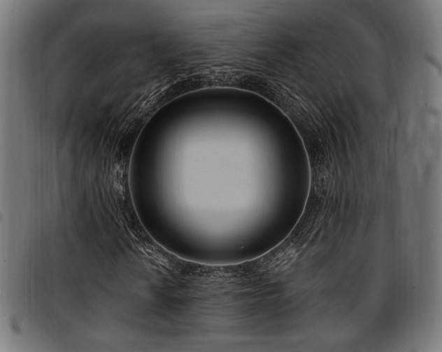 X0000095531010200712141457