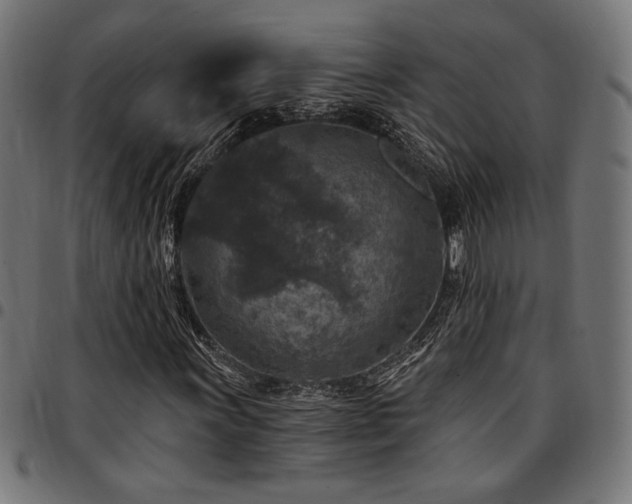 X0000095531011200712141457