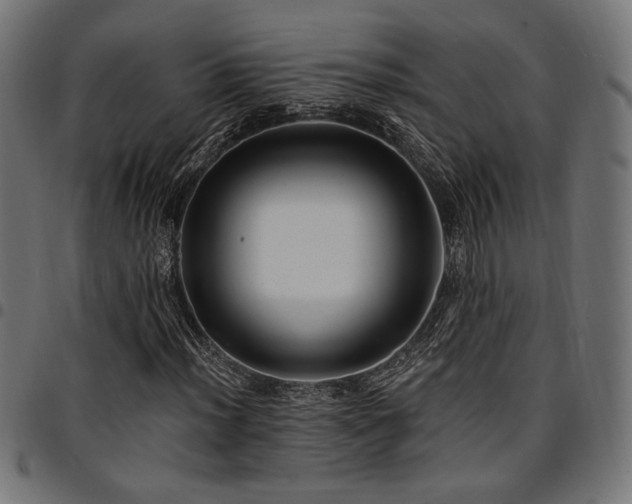 X0000095531012200712141457