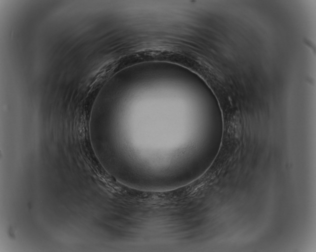 X0000095531014200712141457
