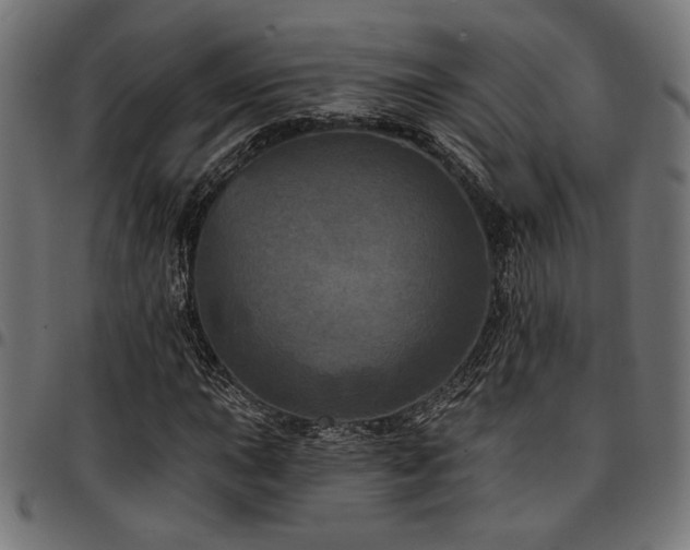 X0000095531015200712141457