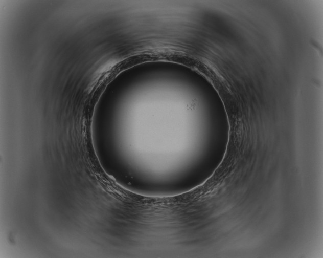 X0000095531016200712141457