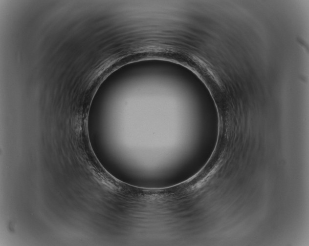 X0000095531017200712141457