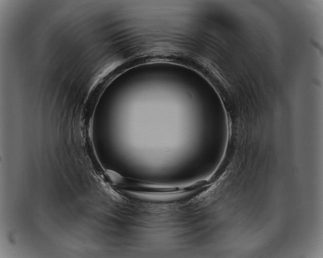 X0000095531018200712141457