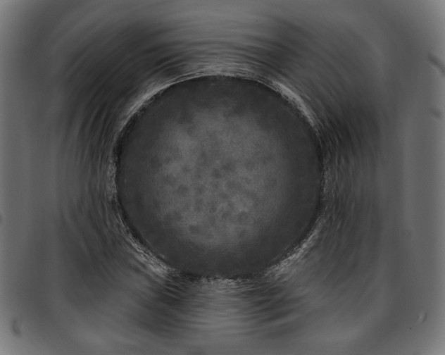 X0000095531019200712141457