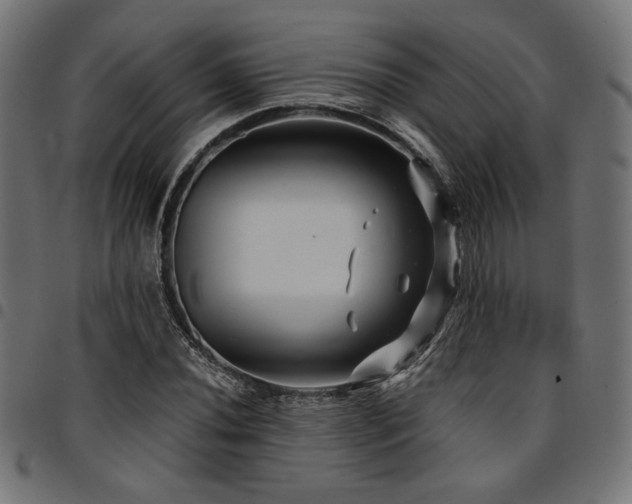 X0000095531020200712141457