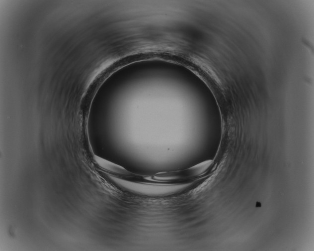 X0000095531021200712141457