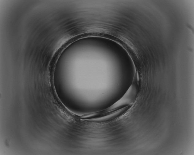 X0000095531022200712141457