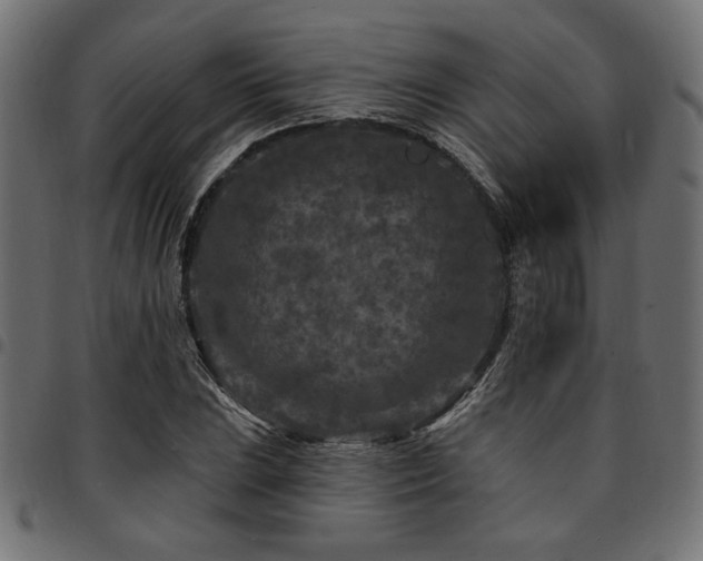 X0000095531023200712141458