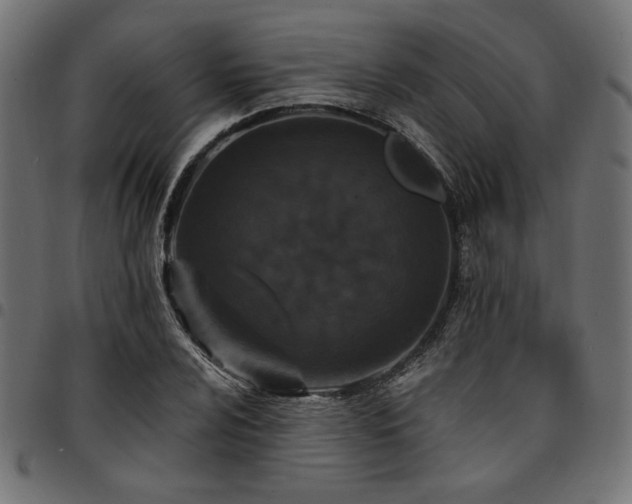 X0000095531024200712141458