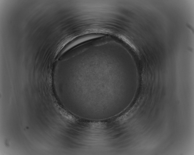X0000095531025200712141458