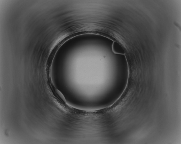 X0000095531026200712141458