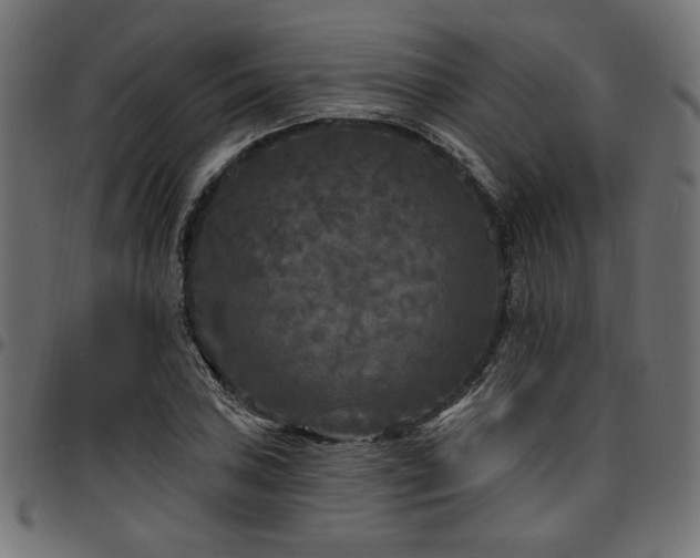 X0000095531027200712141458