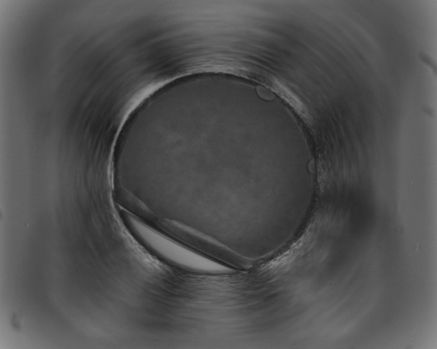X0000095531028200712141458