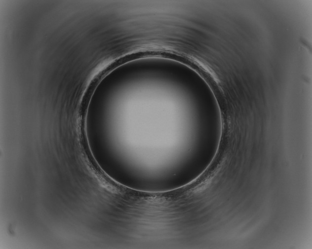 X0000095531029200712141458
