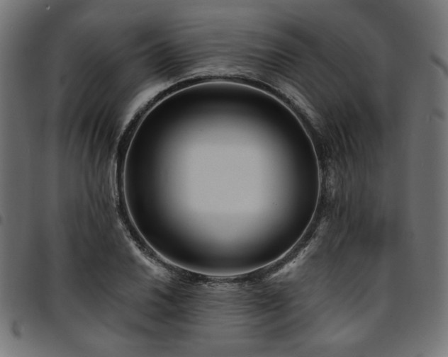 X0000095531030200712141458