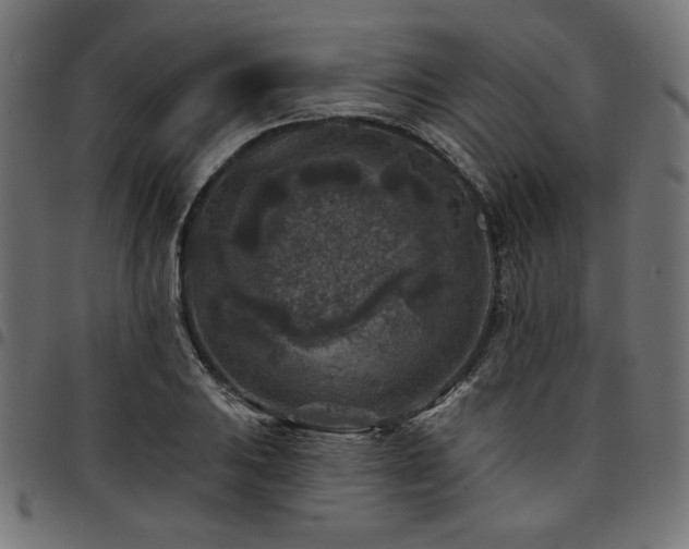 X0000095531031200712141458