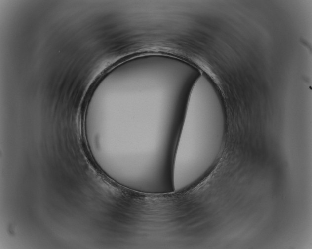 X0000095531032200712141458